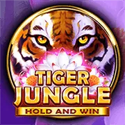 Giao diện đặt cược trên điện thoại di động dễ sử dụng của cmd68 win
